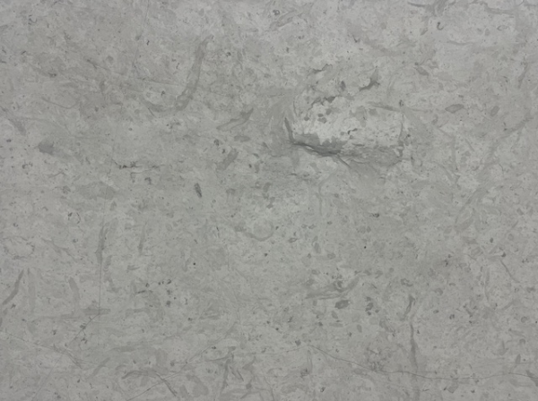 Thala Grey Honed Limestone